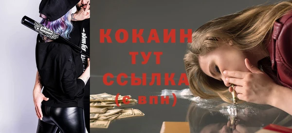 стафф Армянск
