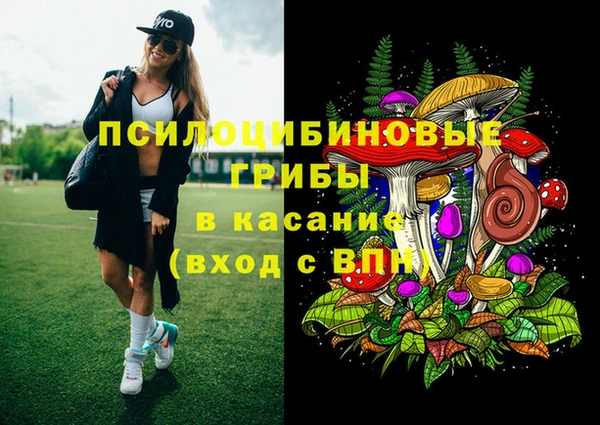 стафф Армянск