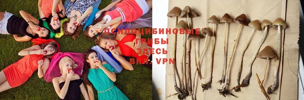 таблы Аркадак